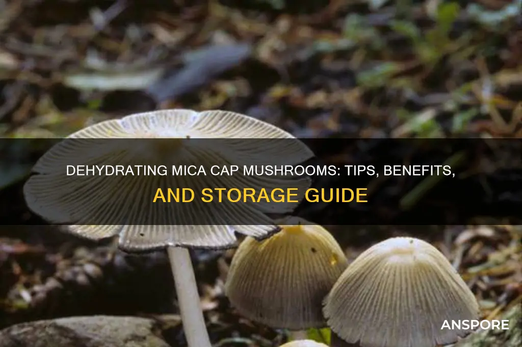 can you dehydrate mica cap mushrooms