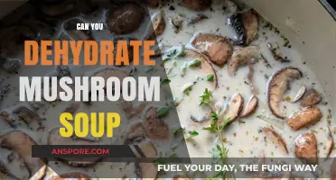 Dehydrating Mushroom Soup: Tips, Tricks, and Storage Solutions