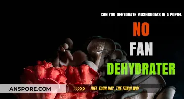 Dehydrating Mushrooms in a Popiel No-Fan Dehydrator: Tips and Tricks