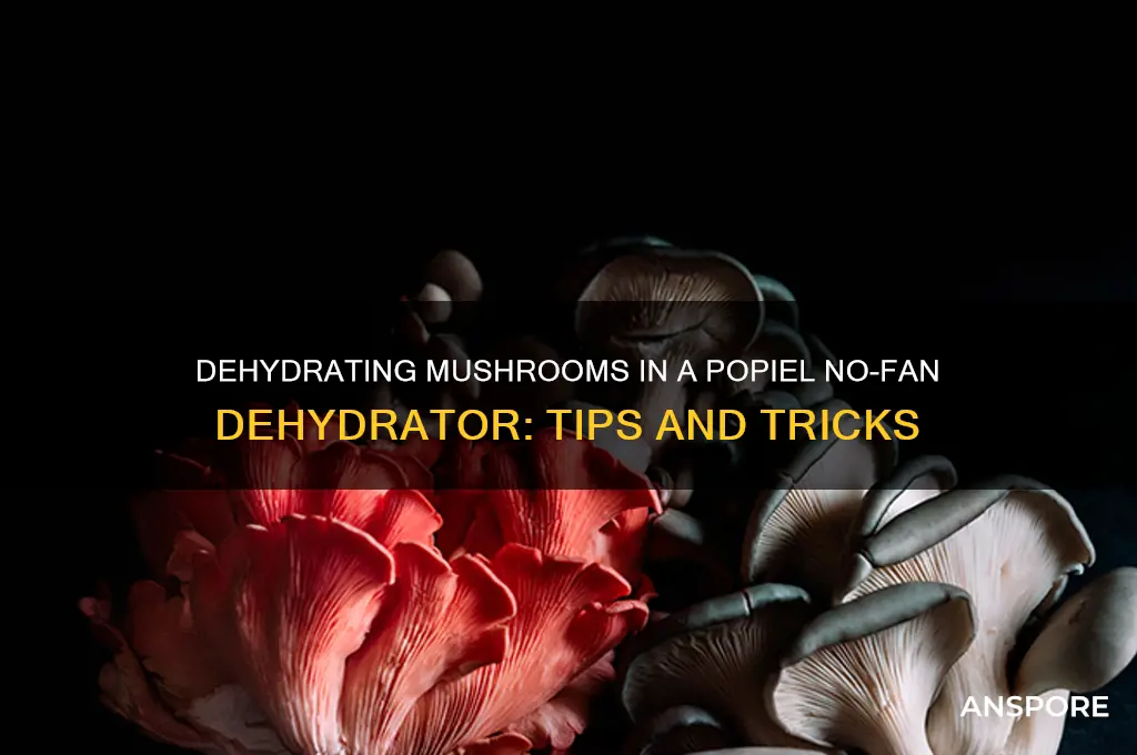 can you dehydrate mushrooms in a popiel no fan dehydrater