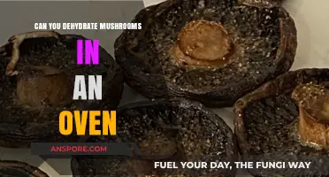 Oven-Drying Mushrooms: A Simple Guide to Dehydrating at Home