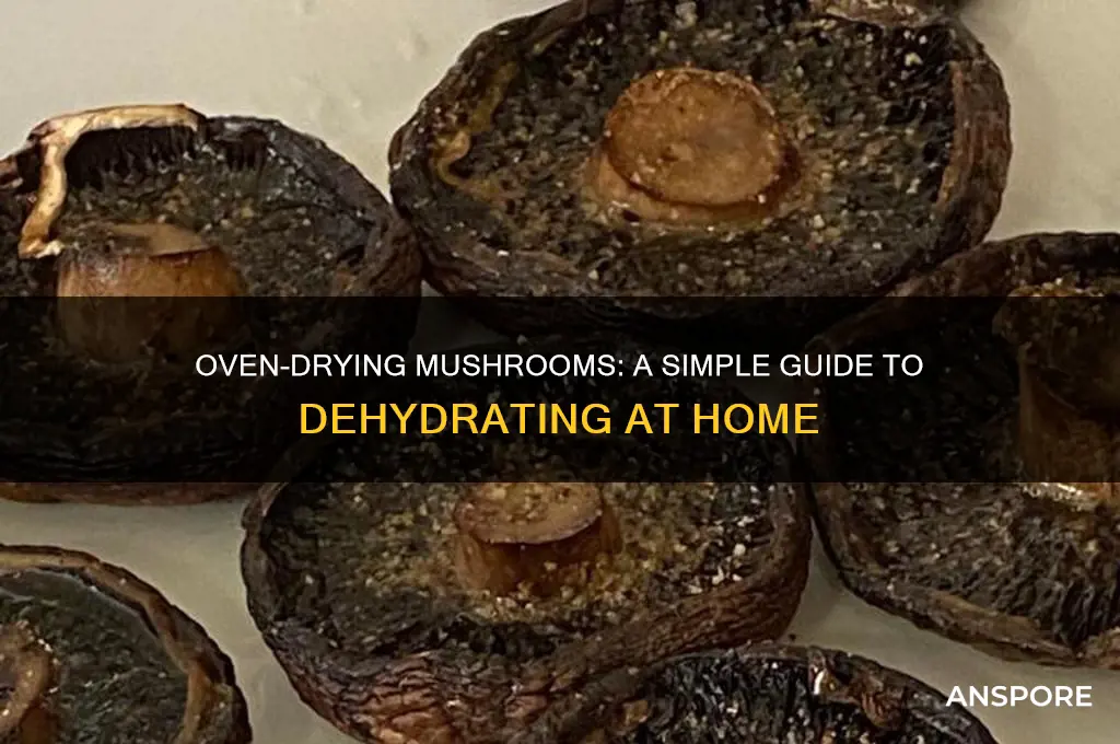 can you dehydrate mushrooms in an oven