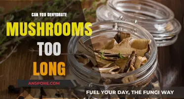 Over-Drying Mushrooms: Risks of Dehydrating Them Too Long Explained