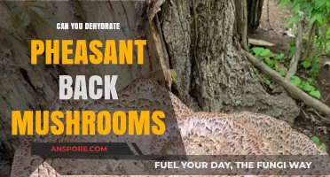 Dehydrating Pheasant Back Mushrooms: A Complete Guide for Preservation