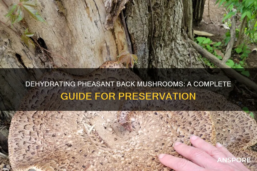 can you dehydrate pheasant back mushrooms