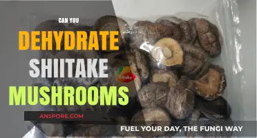 Dehydrating Shiitake Mushrooms: A Simple Guide to Preserving Flavor