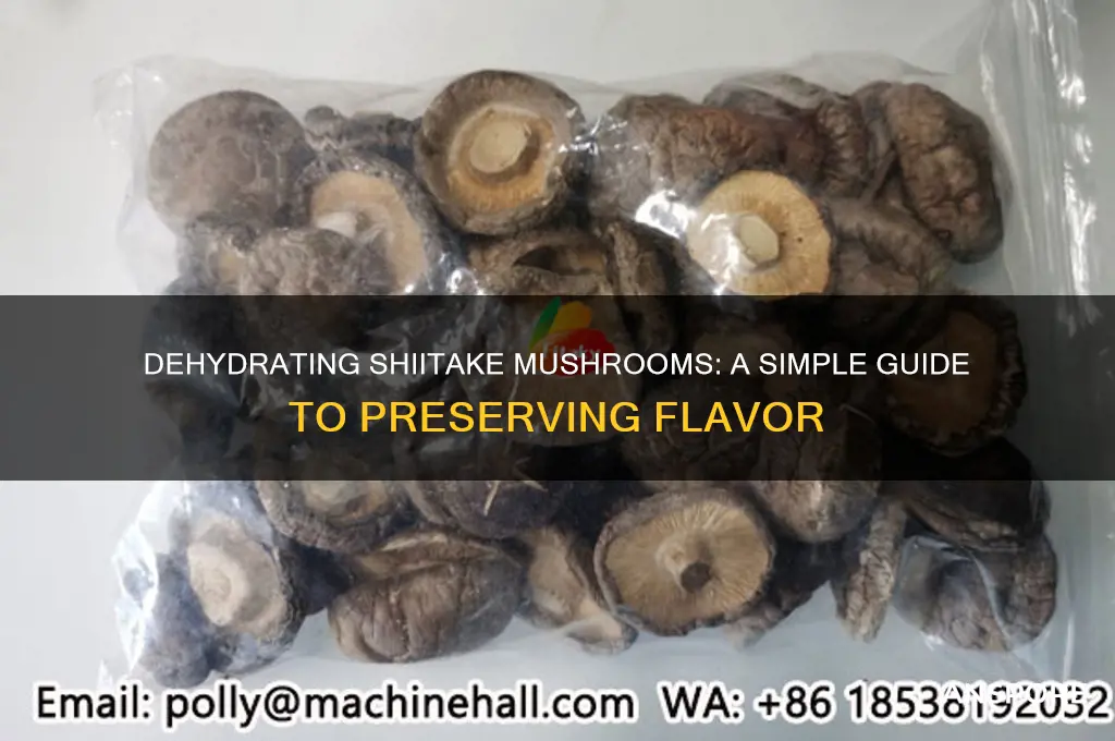 can you dehydrate shiitake mushrooms