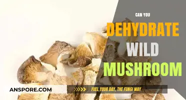 Dehydrating Wild Mushrooms: A Safe and Effective Preservation Guide