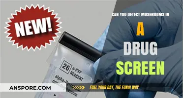 Mushrooms and Drug Tests: Can Psilocybin Be Detected in Screenings?