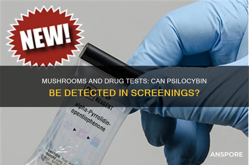 can you detect mushrooms in a drug screen
