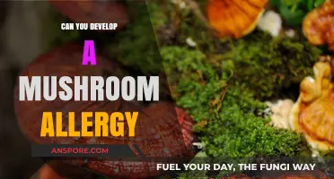 Can You Suddenly Develop a Mushroom Allergy? Symptoms and Risks
