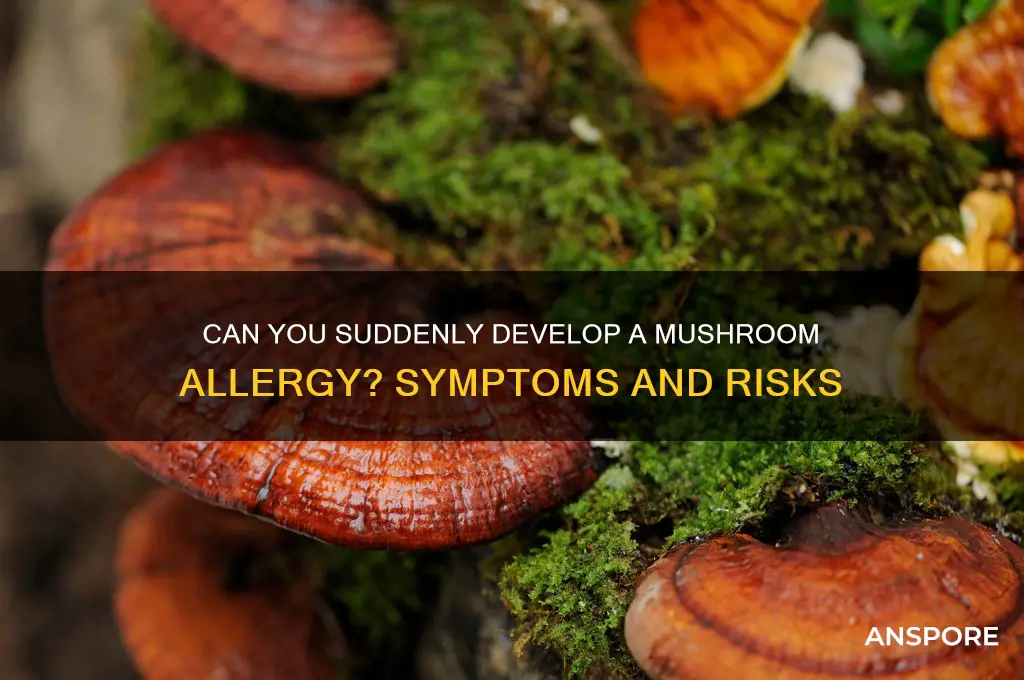can you develop a mushroom allergy
