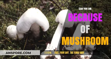 Deadly Fungi: Can Eating Mushrooms Lead to Fatal Consequences?