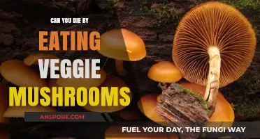 Can Veggie Mushrooms Be Deadly? Uncovering the Truth About Edibility