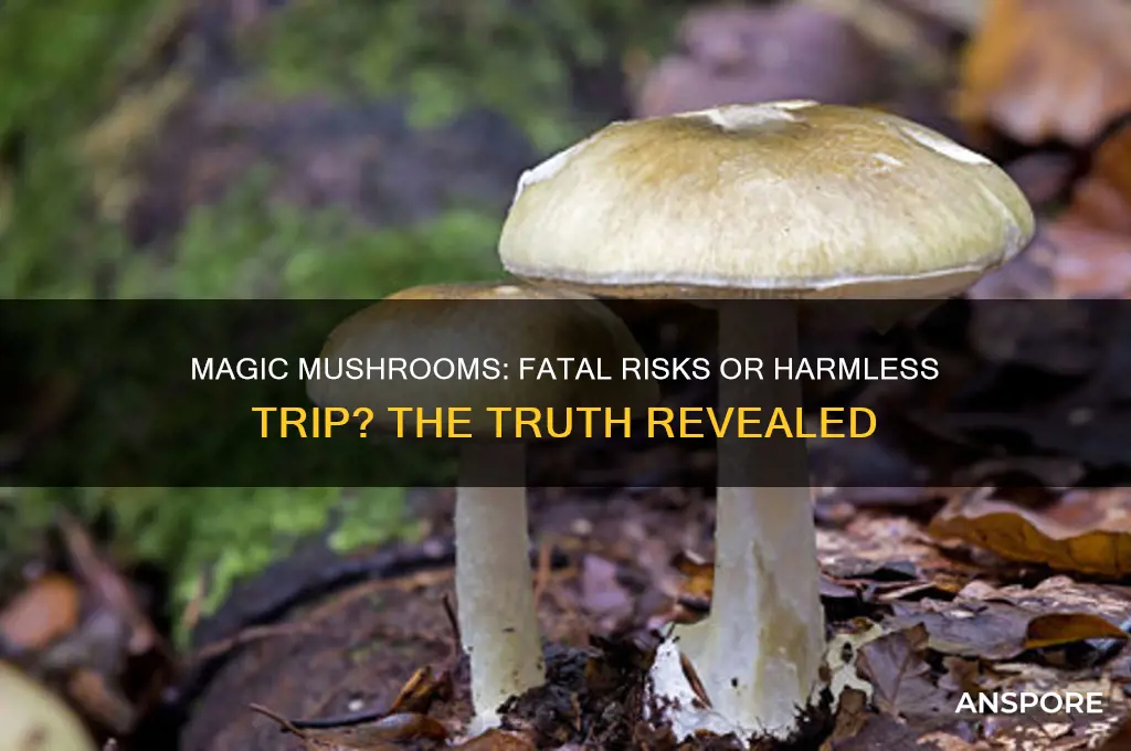 can you die from consumption of magic mushrooms
