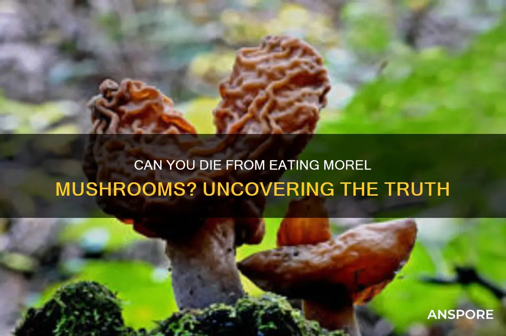 can you die from eating morel mushrooms