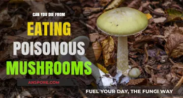 Deadly Mistake: The Lethal Truth About Poisonous Mushrooms