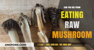 Raw Mushrooms: Deadly Risks or Harmless Myth? Find Out Now