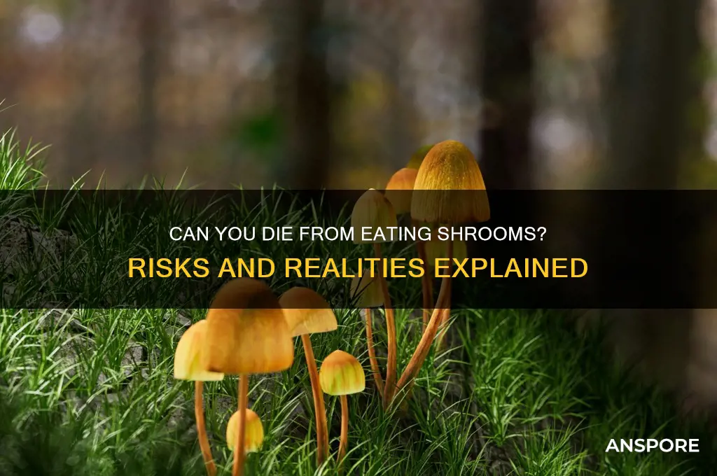 can you die from eating shrooms