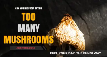 Mushroom Overdose: Can Eating Too Many Mushrooms Be Fatal?