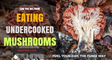 Undercooked Mushrooms: Risks, Dangers, and Potential Fatal Consequences Explained