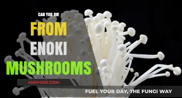Can Enoki Mushrooms Be Deadly? Uncovering the Truth and Risks