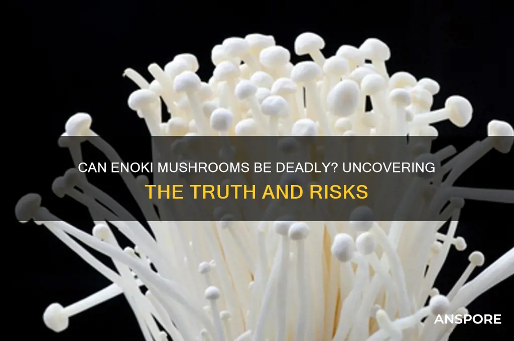 can you die from enoki mushrooms