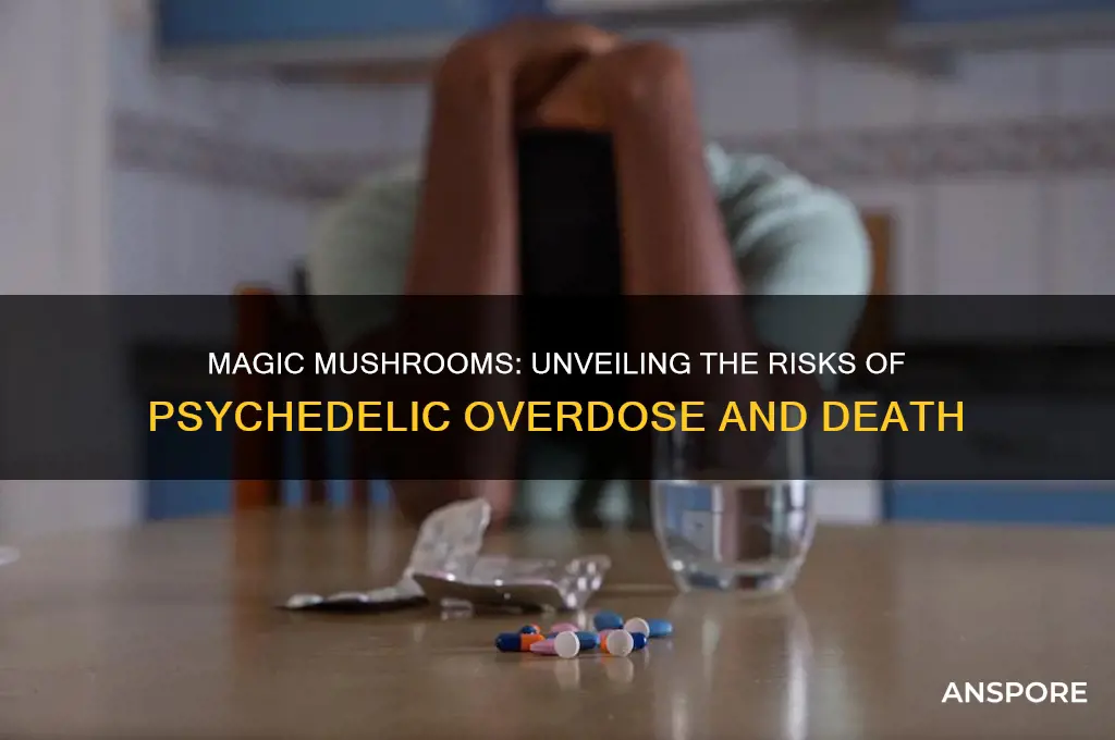 can you die from mqgic mushrooms