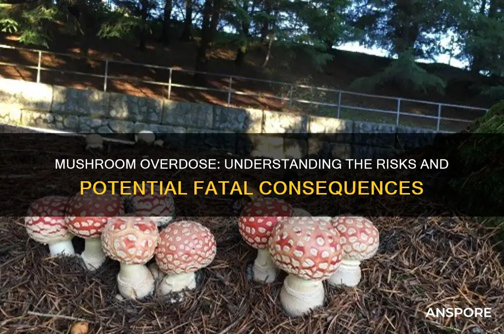 can you die from mushroom overdose