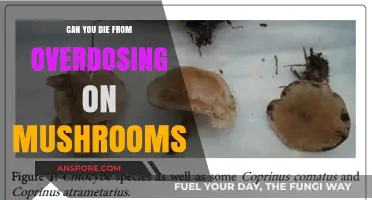 Mushroom Overdose: Understanding the Risks and Potential Fatalities