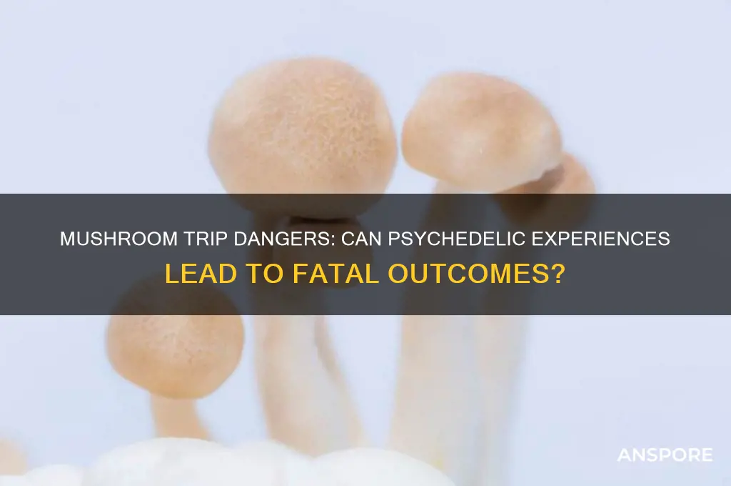 can you die from tripping on mushrooms