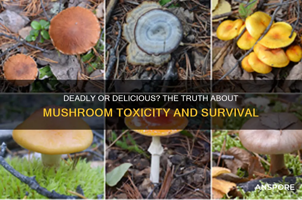 can you die off mushrooms
