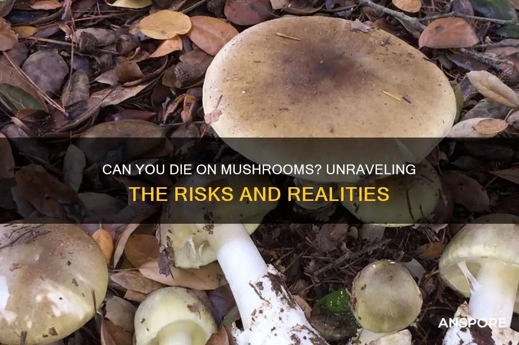 can you die on mushrooms