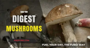 Can You Digest Mushrooms? Unveiling the Truth About Fungal Digestion
