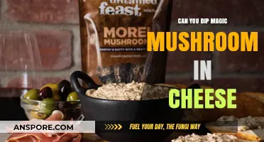 Cheesy Trip: Dipping Magic Mushrooms in Cheese Explored