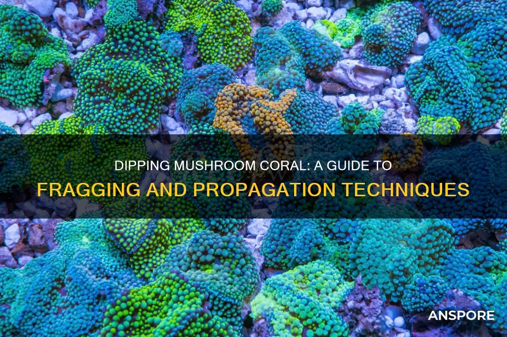 can you dip mushroom coral