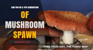 Mastering Mushroom Cultivation: Exploring 4th Generation Spawn Techniques