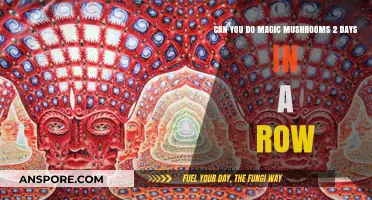Risks of Consecutive Magic Mushroom Use: Exploring Back-to-Back Trips
