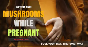 Pregnancy and Psilocybin: Risks of Magic Mushrooms While Expecting