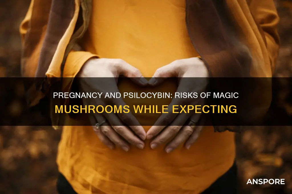 can you do magic mushrooms while pregnant