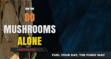 Solo Shrooming: Exploring the Pros and Cons of Tripping Alone