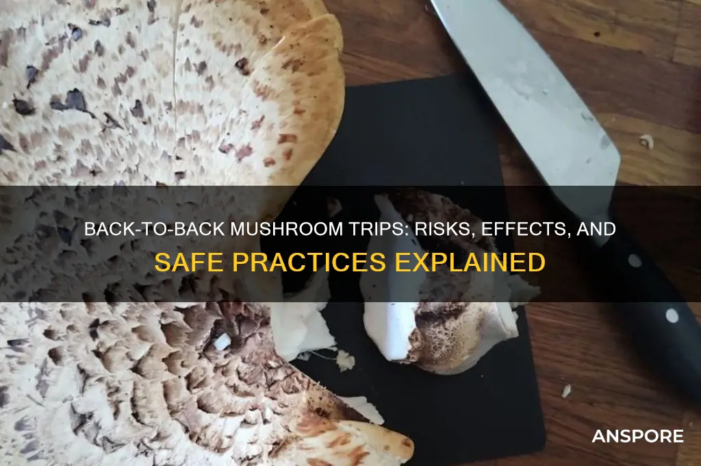 can you do mushrooms back to back
