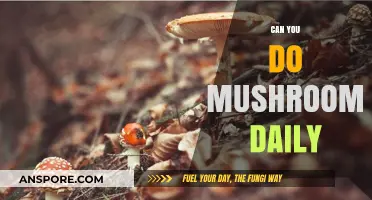 Daily Mushroom Use: Benefits, Risks, and Long-Term Effects Explained