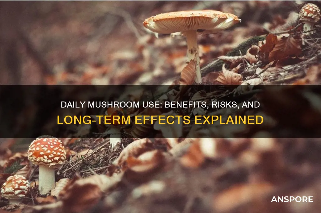 can you do mushrooms daily
