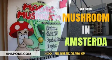 Exploring Amsterdam's Magic Mushroom Scene: Legalities and Experiences