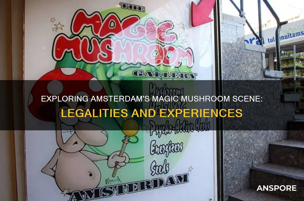 can you do mushrooms in amsterdam