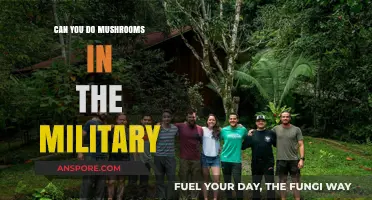 Mushrooms and Military Service: Exploring Policies on Psychedelic Use