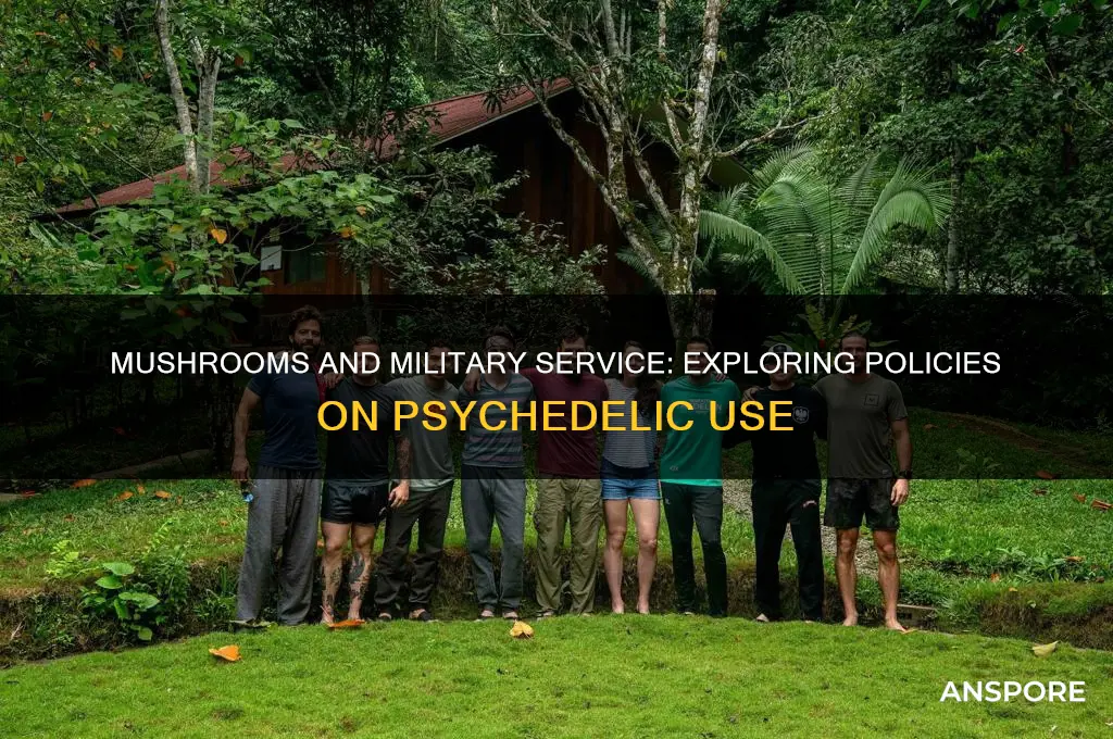 can you do mushrooms in the military