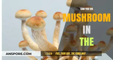 Exploring Mushrooms: Can You Safely Consume Them in Different Settings?