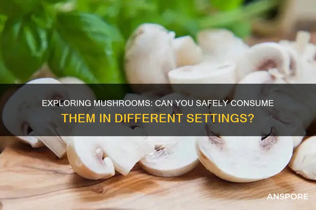 can you do mushrooms in the